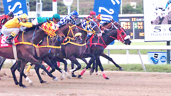 Pedro Caimán galopó la Copa Velocidad del Caribe