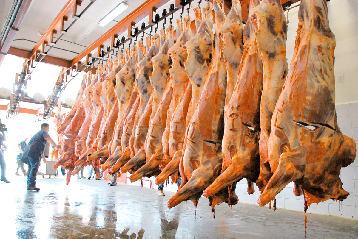 Mañana venderán carne regulada en el Matadero