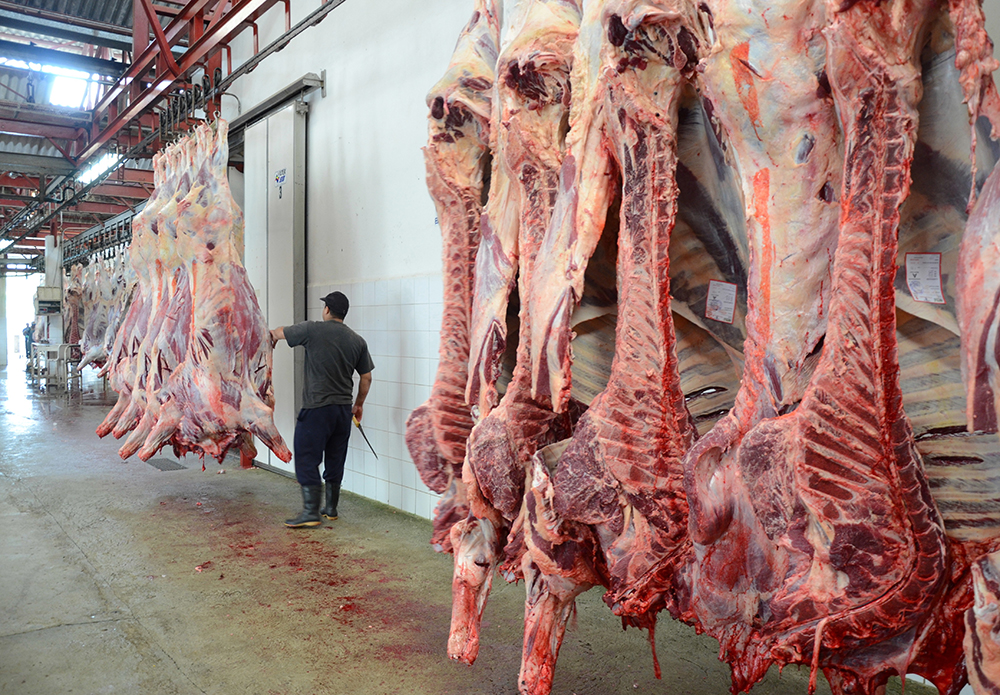 Amas de casa piden frenar especulación con la carne