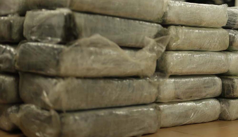 GNB incautó 425 kilos de cocaína en Puerto Cabello
