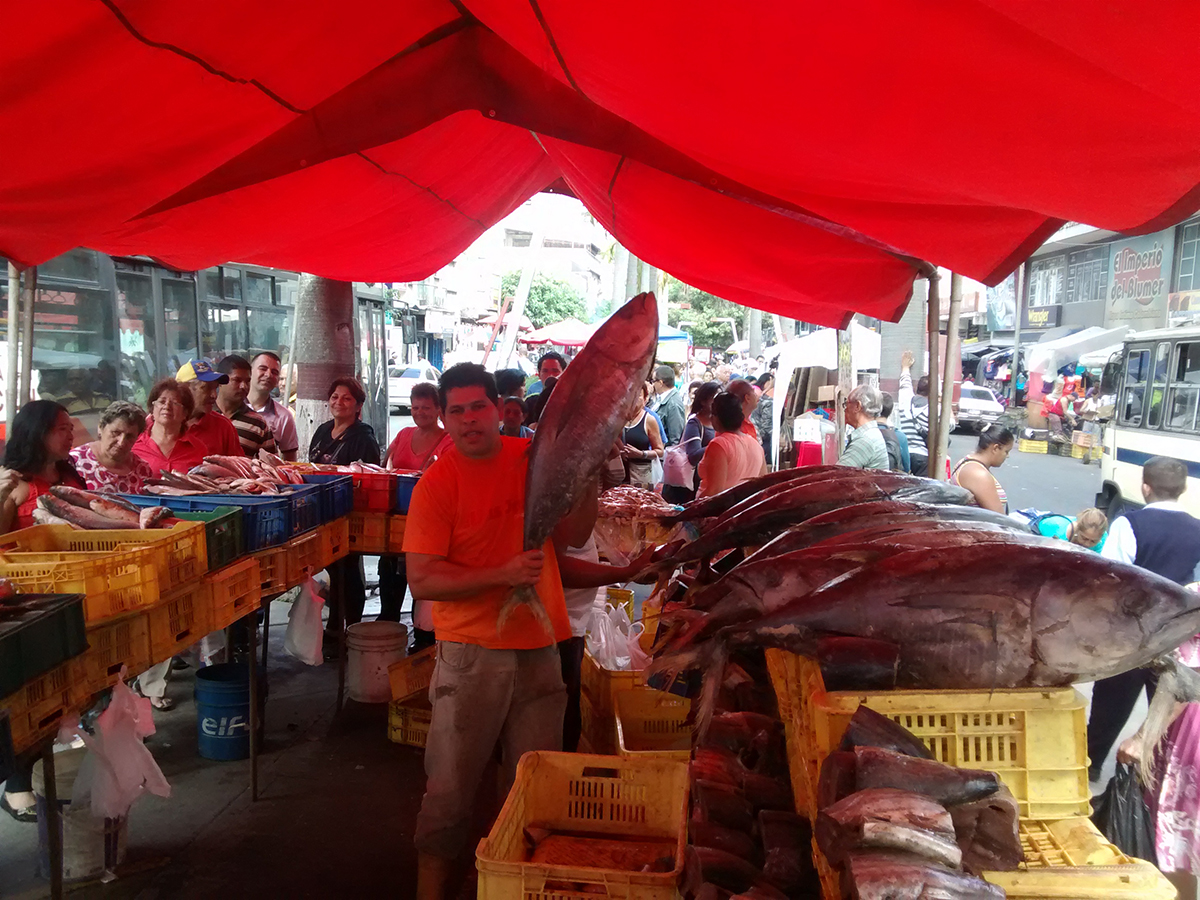 Este jueves ofrecerán pescado a precio justo en la Bermúdez