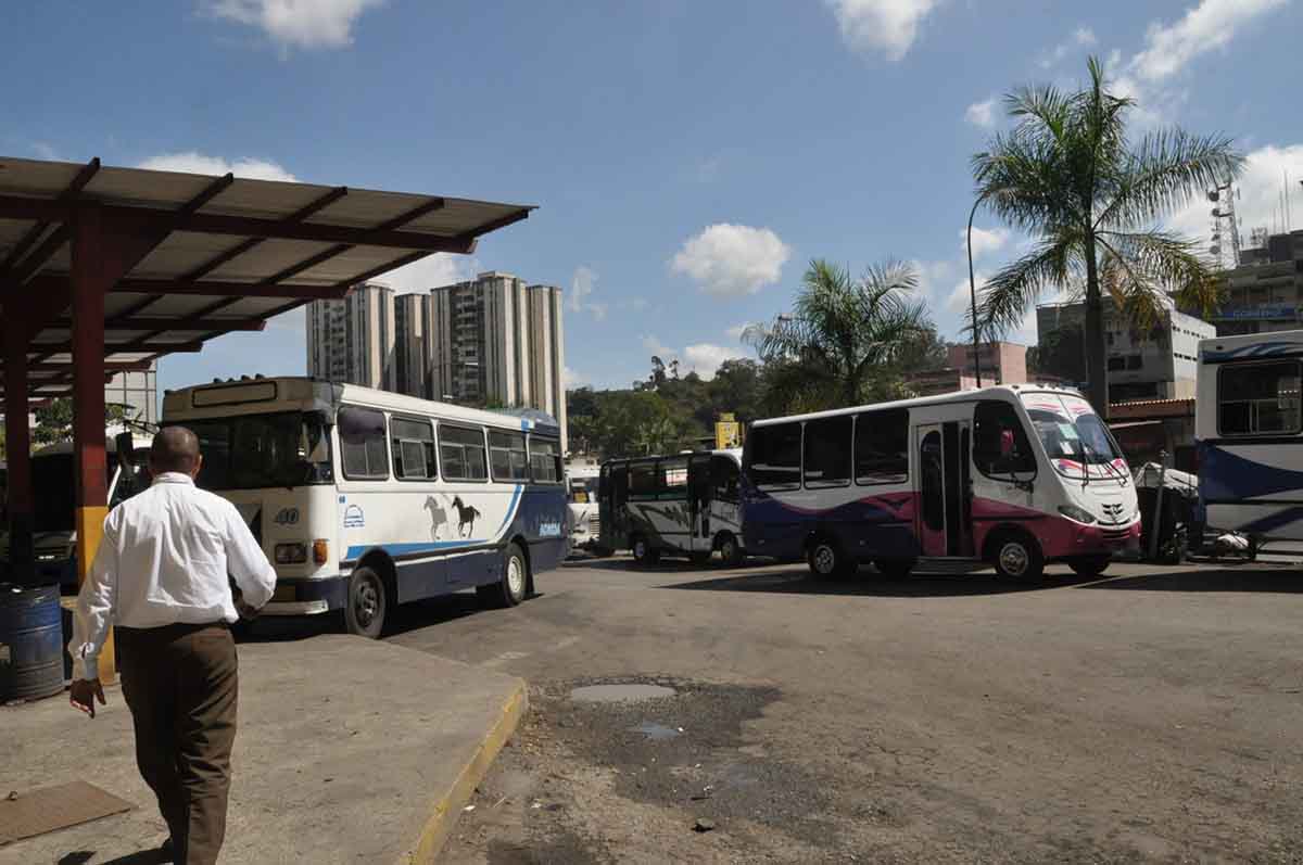 Autobuseros hacen su agosto con la ruta playera