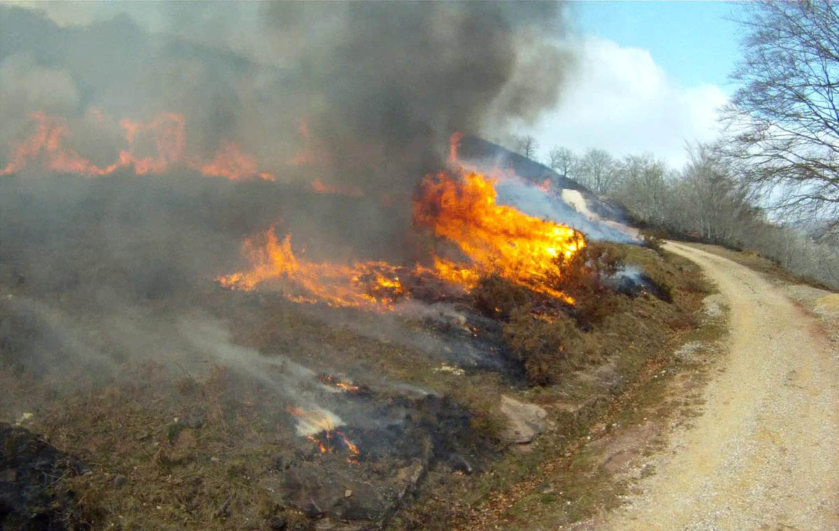 Alertan sobre incremento de incendios de vegetación