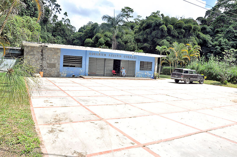 Firmarán convenio para restaurar acuario de Carrizal