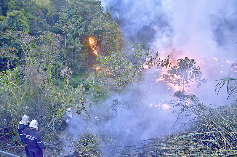 Incendio devoró 2 hectáreas en Zona Industrial I del Tambor