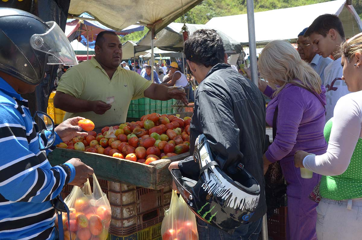 Cebollas y tomates están a buen precio