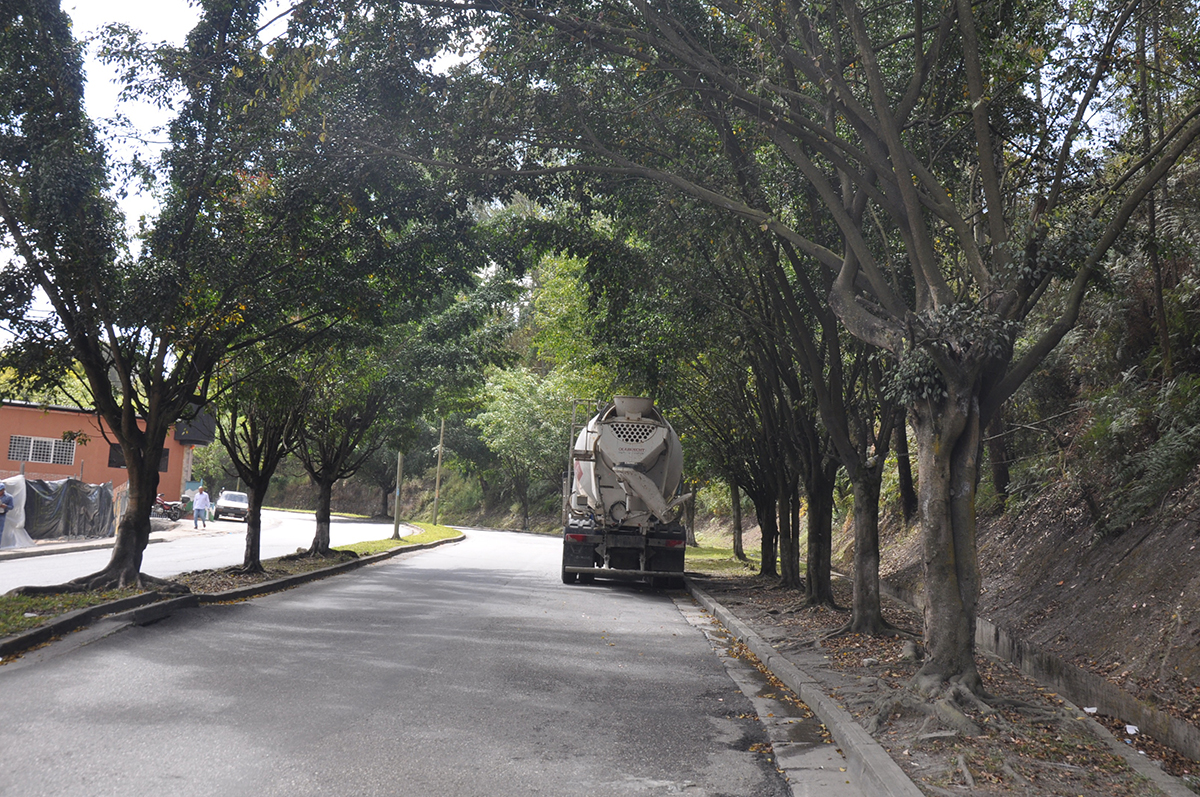 Arborizarán sectores de Los Salias