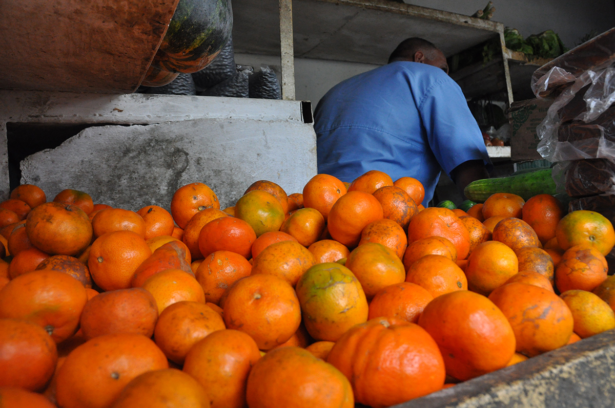 Agricultores jarilleros siguen pasando roncha para cultivar