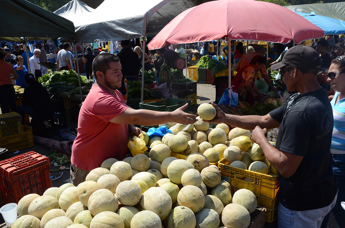 Melón se ha convertido en una fruta cara