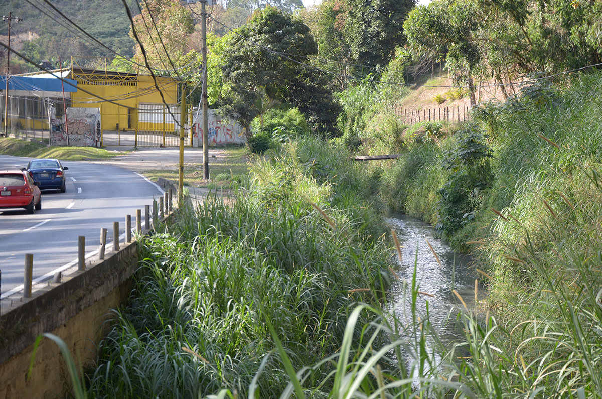 pwla veguita f1. METER ESTA PORFA