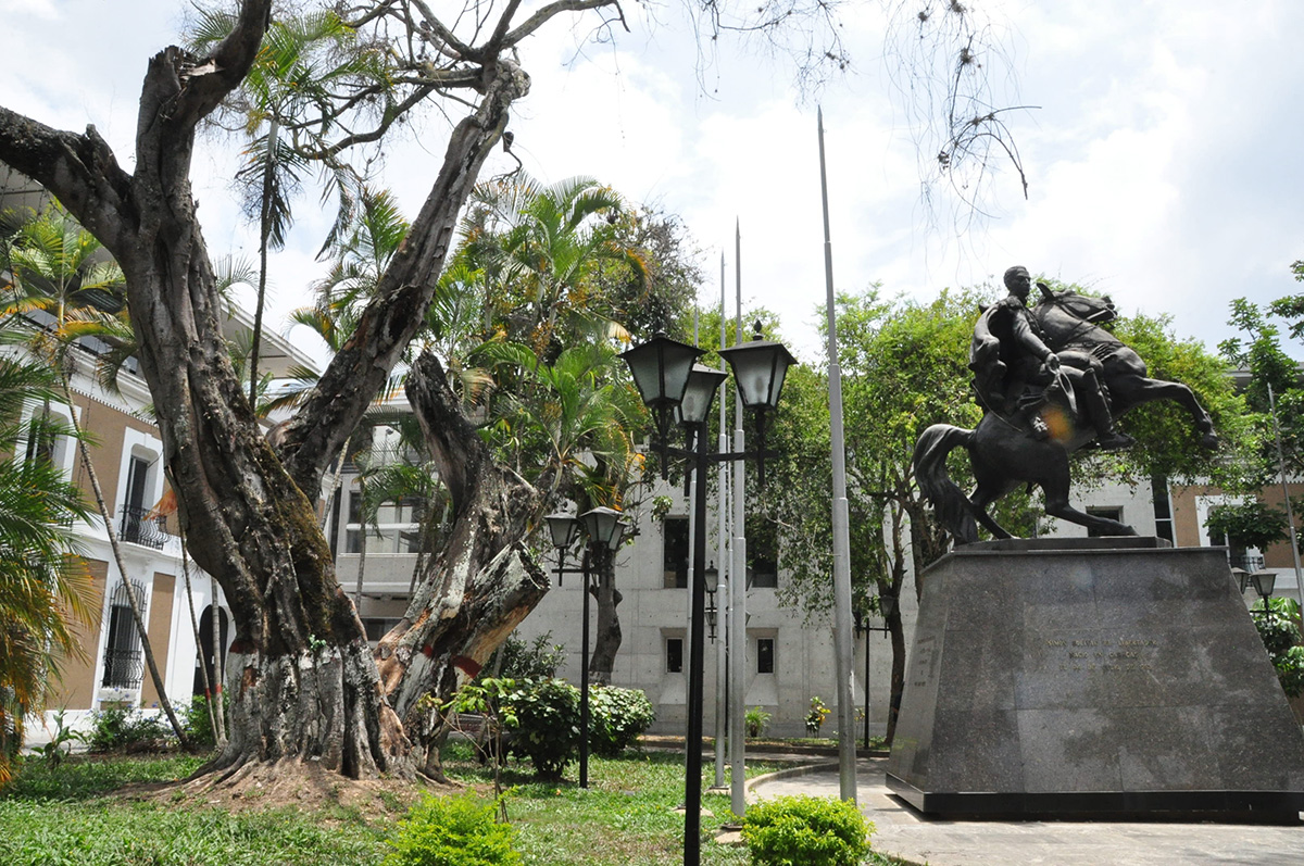 Árbol amenaza con caer en la plaza Bolívar