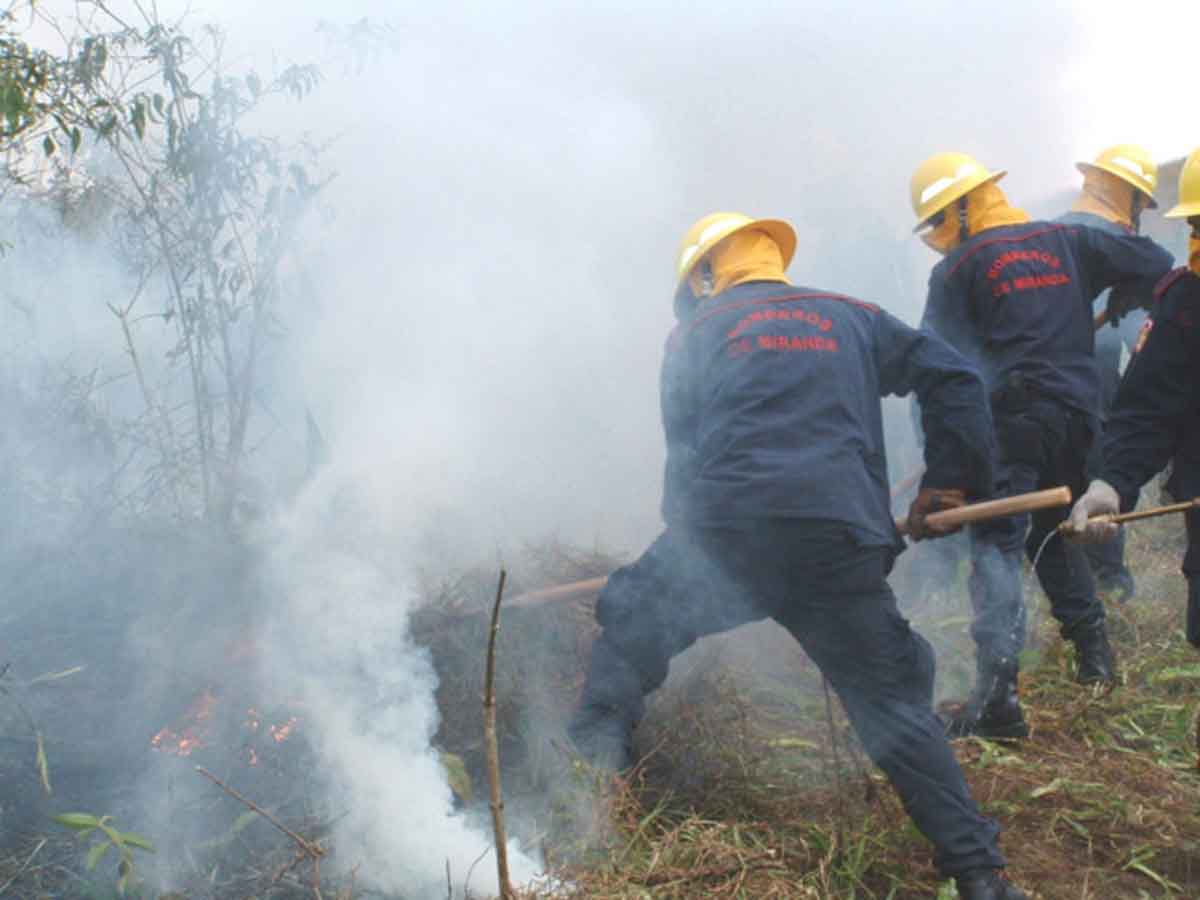 En Guaicaipuro se registran 229 quemas forestales