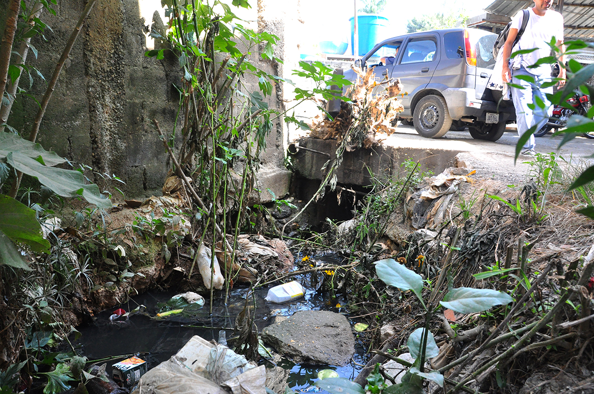 Quebrada de El Alambique lleva  20 años sin mantenimiento