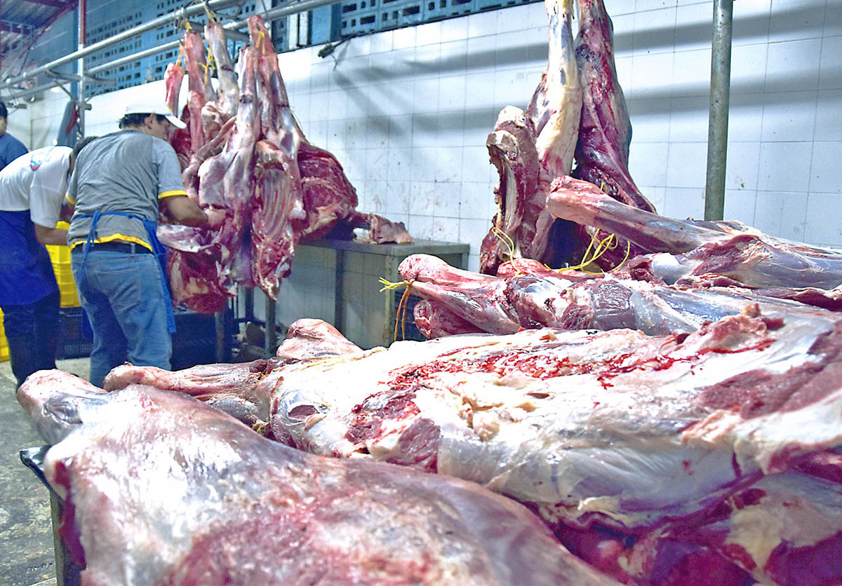 Venderán carne regulada en el mercado Municipal