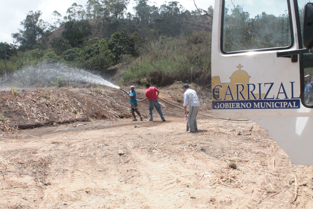 Alcaldía arborizó en Colinas de Carrizal