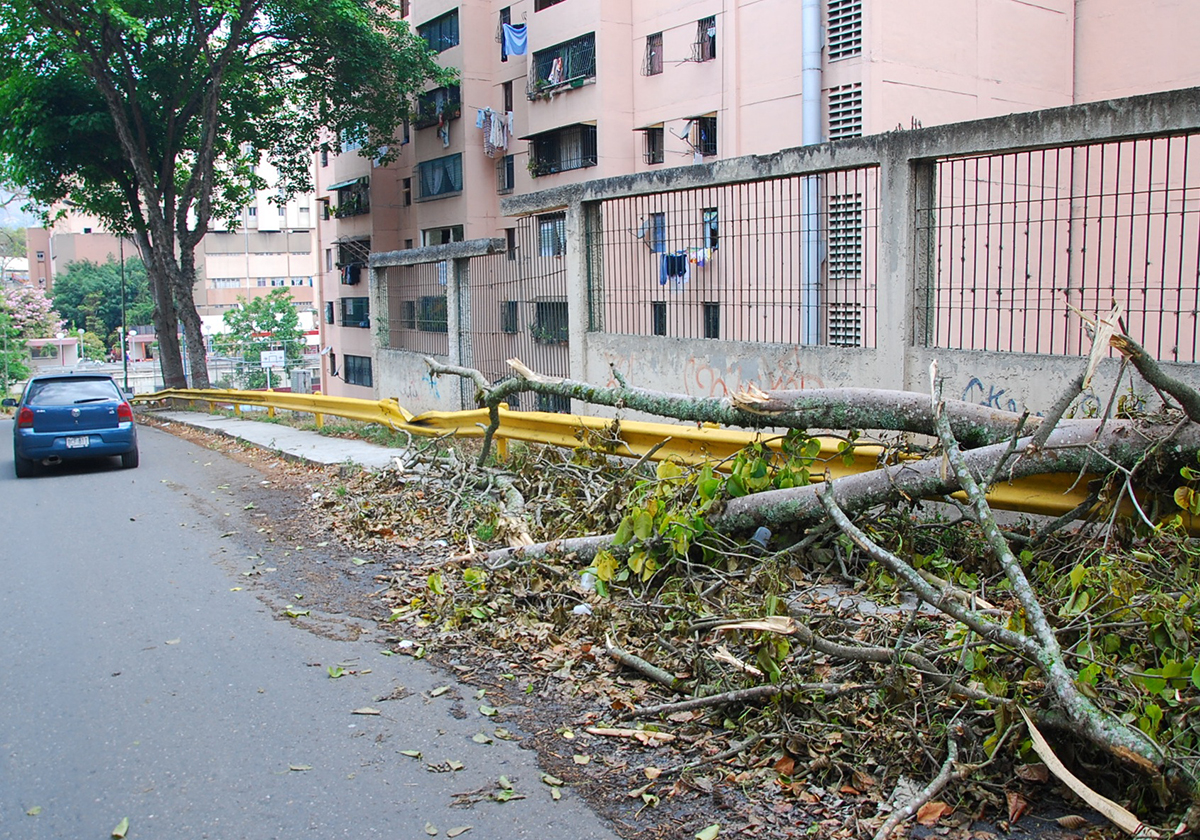 Restos de árboles obstaculizan paso en la Simón Bolívar