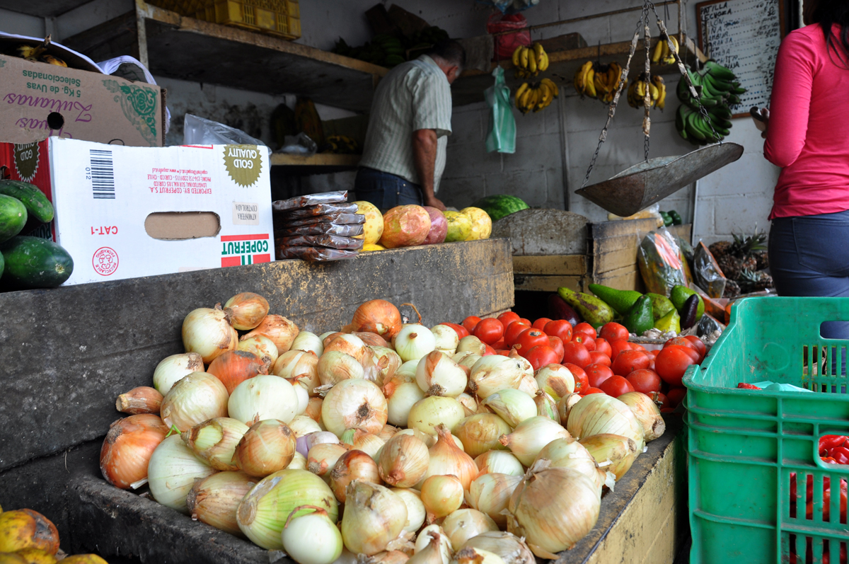 Agricultores dejan de sembrar  por falta de fertilizantes