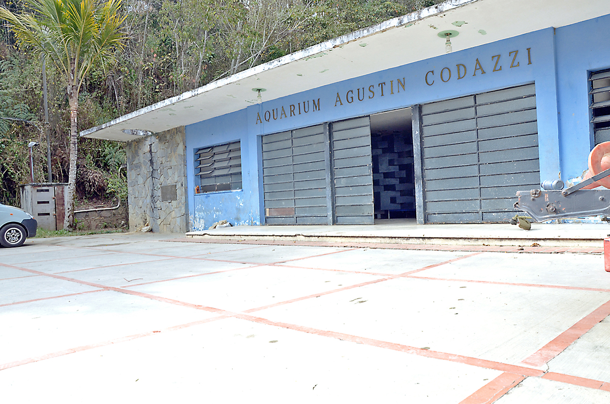 Rectora de la UCV visitará acuario de Carrizal