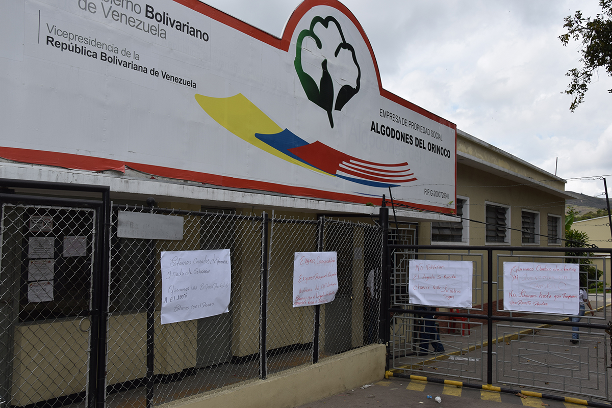 En Algodones del Orinoco esperan  acuerdos para reanudar la faena