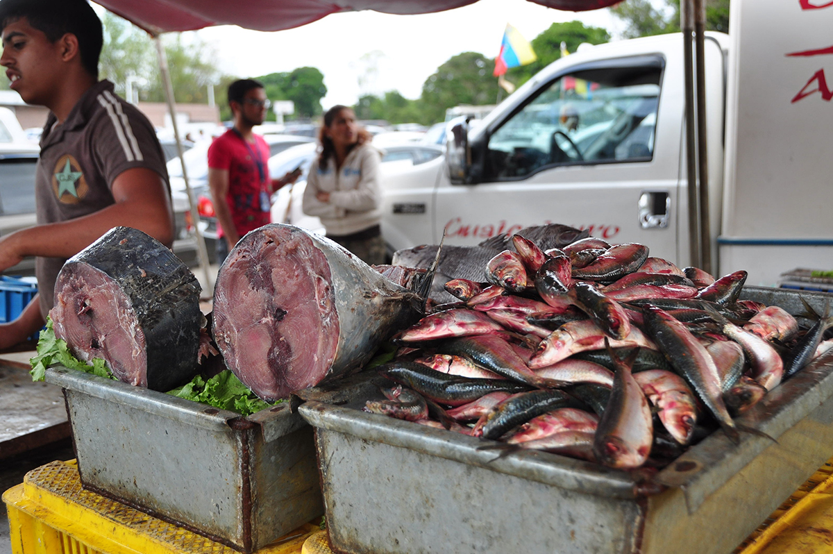 Venta de pescado bajó después de Semana Santa