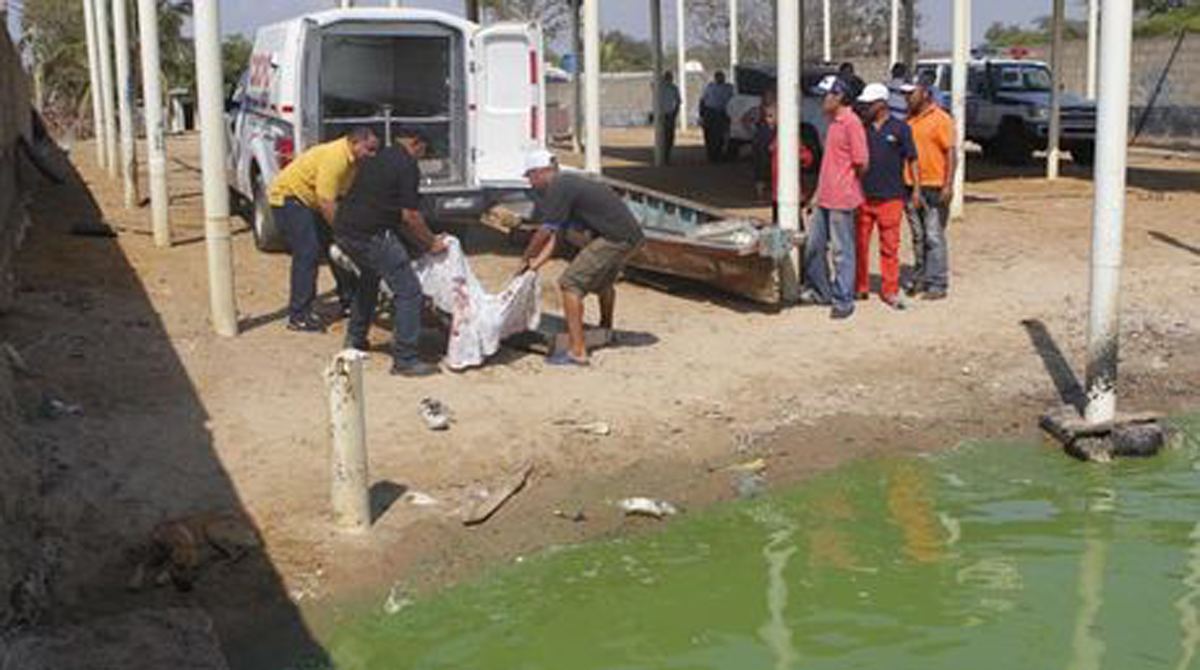 Asesinaron a tres hombres en una playa de Zulia