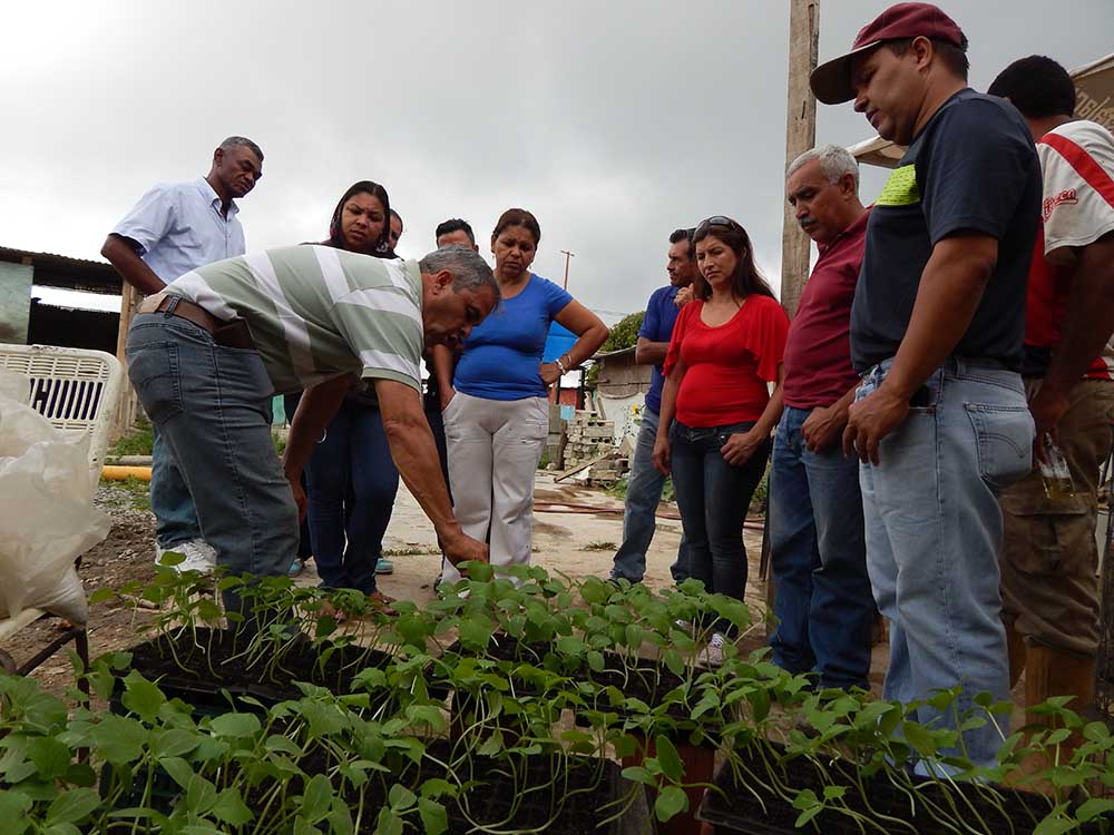 Carrizal Agrícola donó más de 700  semillas en La Ladera