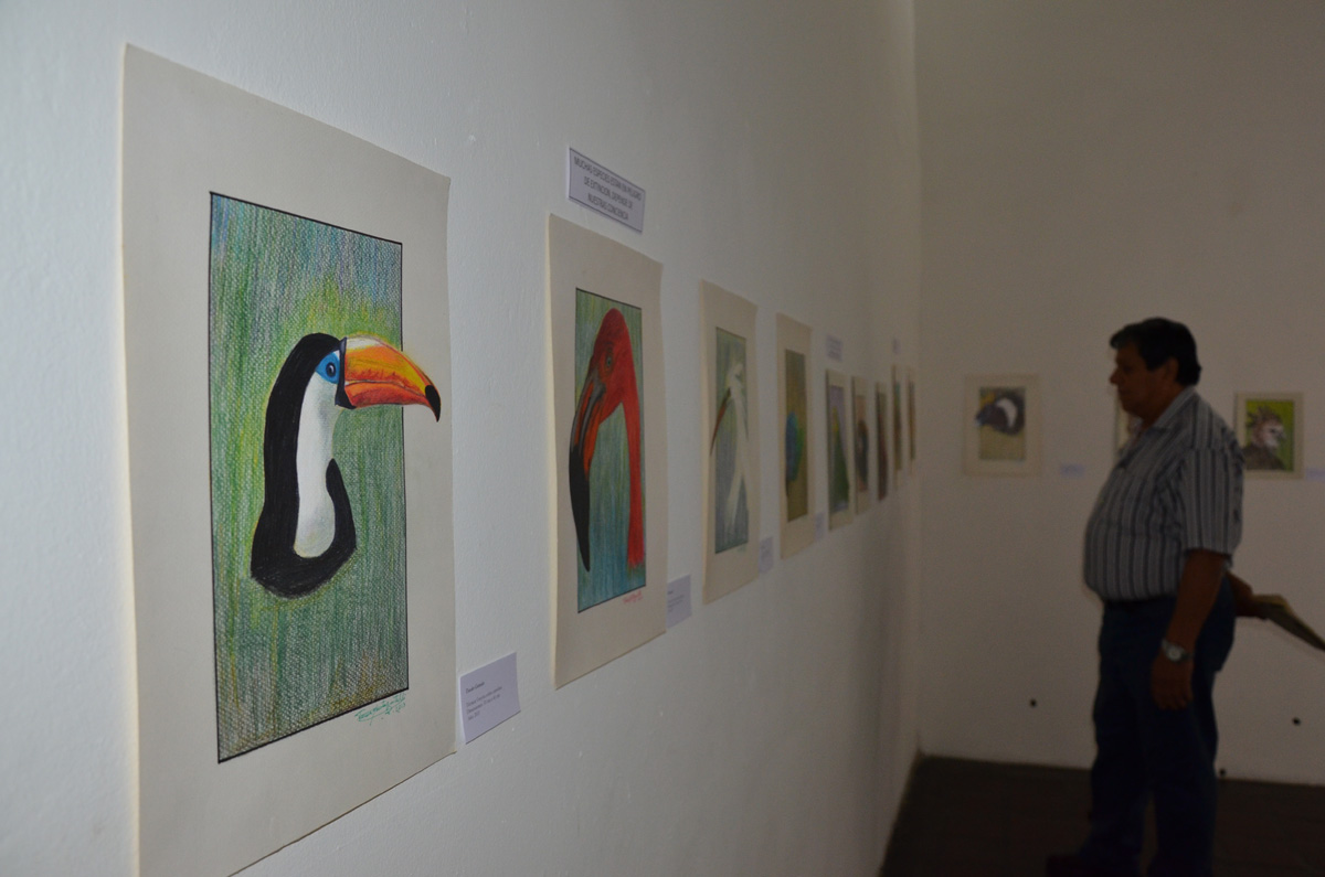 Aves sin Fronteras se expone en la Arturo Michelena