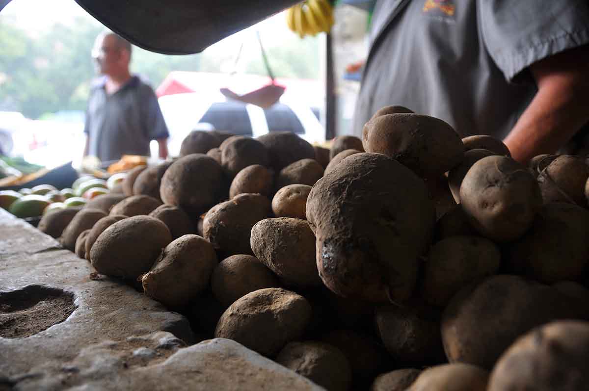 Se gasta un realero para hacer una ensalada