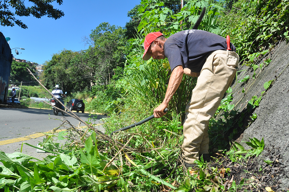 Desmalezaron la avenida Bolívar