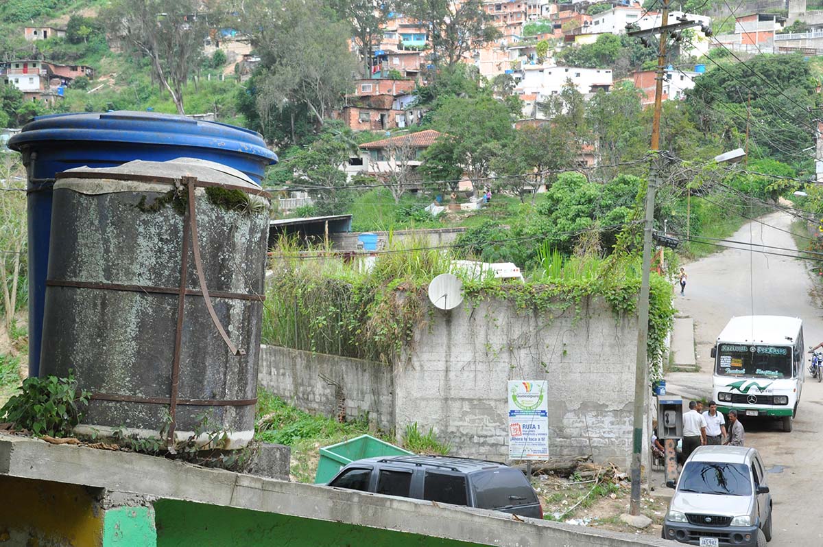 Los grifos están de adorno en Los Lagos