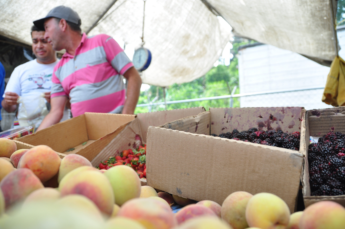 Resuelven a punta de pulpas por aumento de frutas