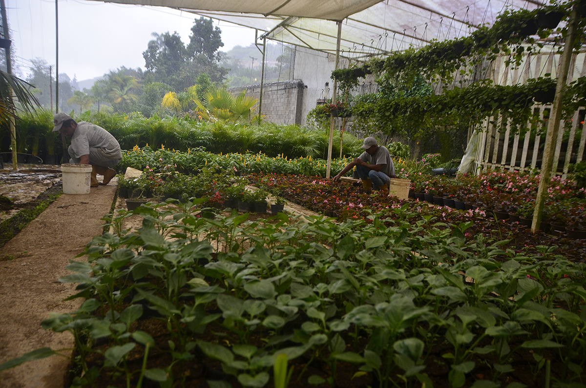 Floricultores reclaman insumos