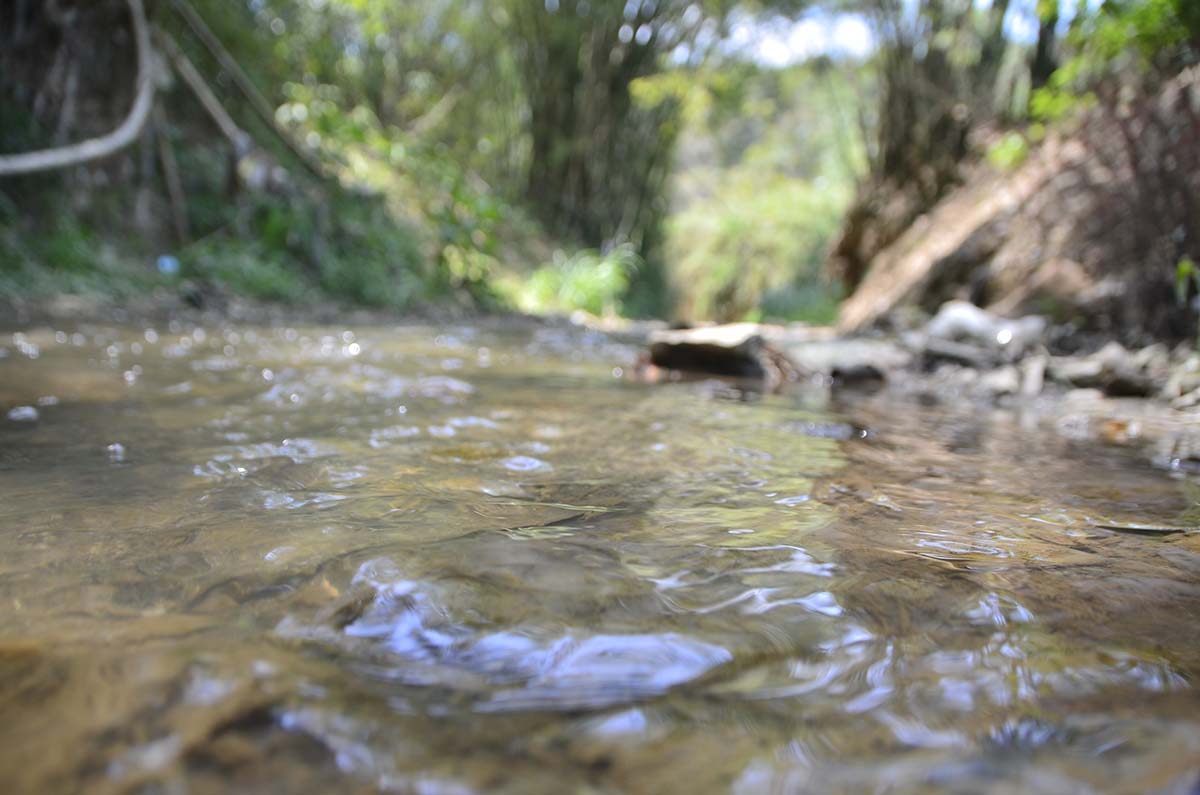 Ambientalistas aseguran que se agotan las reservas de agua dulce