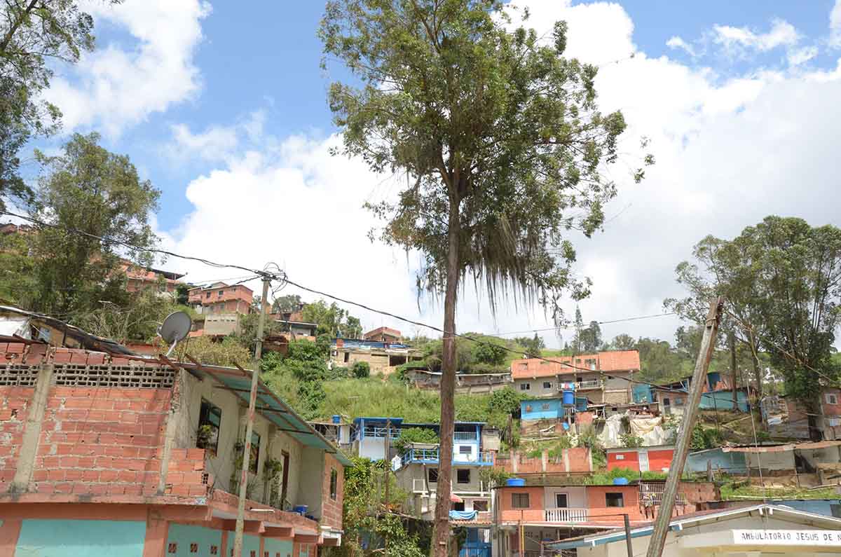 Claman por poda de árboles en La Pradera