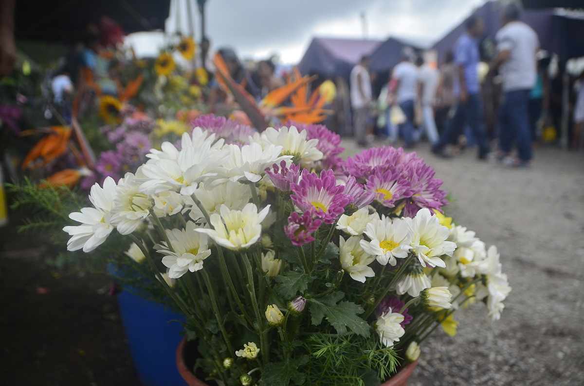 Hasta Bs. 200 cuesta un ramo de flores sencillo