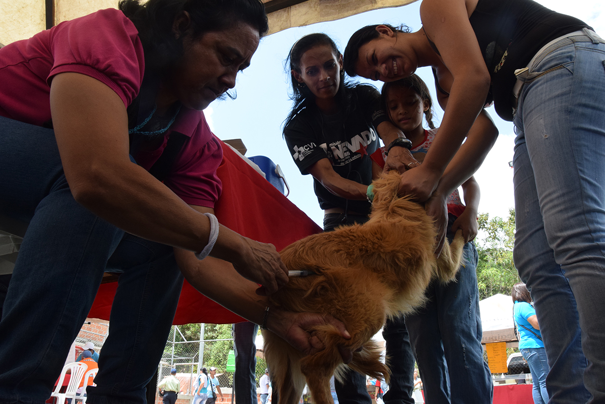 Jornada de salud en Palo Alto benefició a vecinos y mascotas