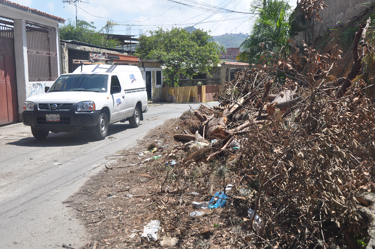 Árboles caídos obstruyen la vialidad en Quebrada de la Virgen