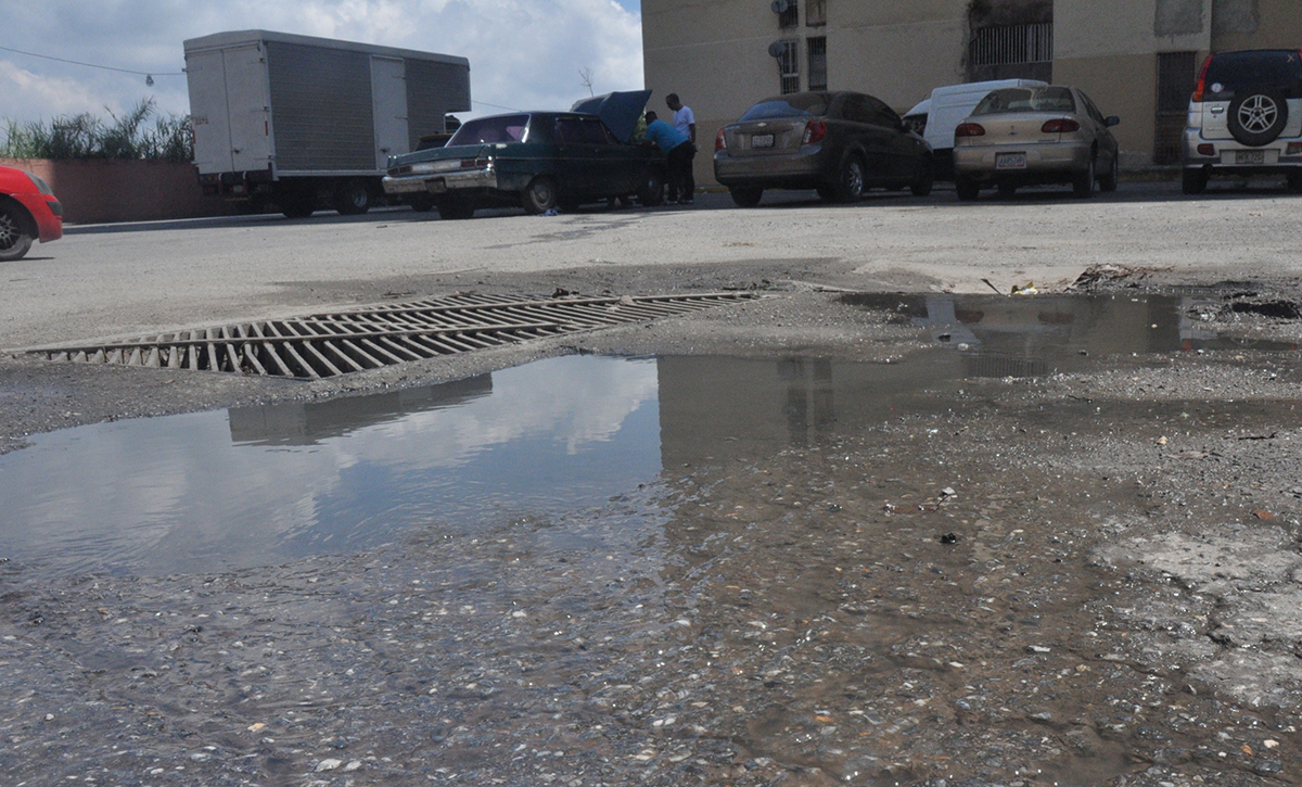 Piscina de aguas negras en residencias Lagunetica