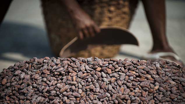 Hoy arranca en el Poliedro de Caracas fiesta del cacao