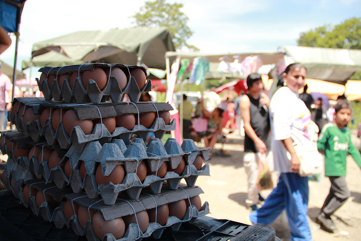 Ni con los bachaqueros se consiguen huevos