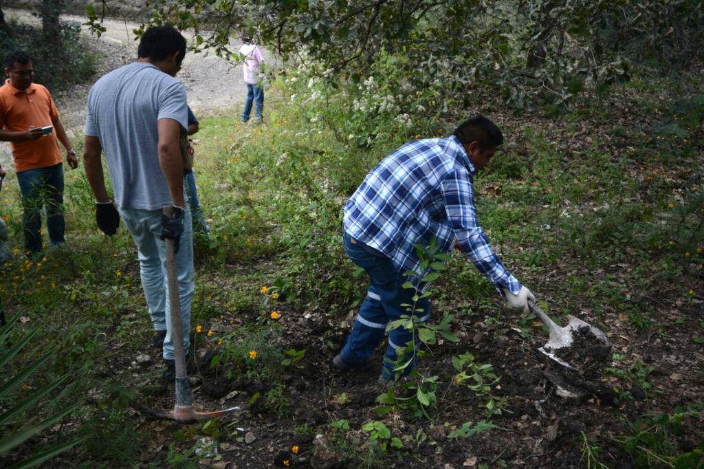 Confirman hallazgo de cuerpos de estudiantes en México