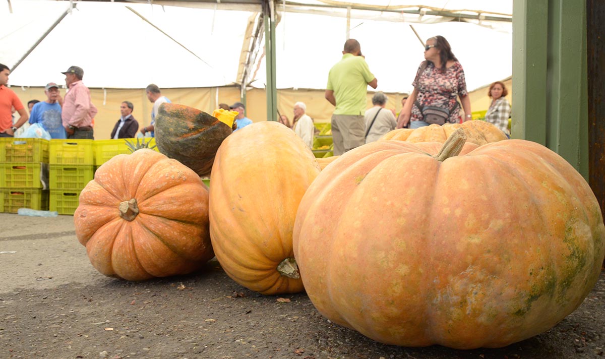 Venden a Bs. 220 frutas y legumbres en Los Castores