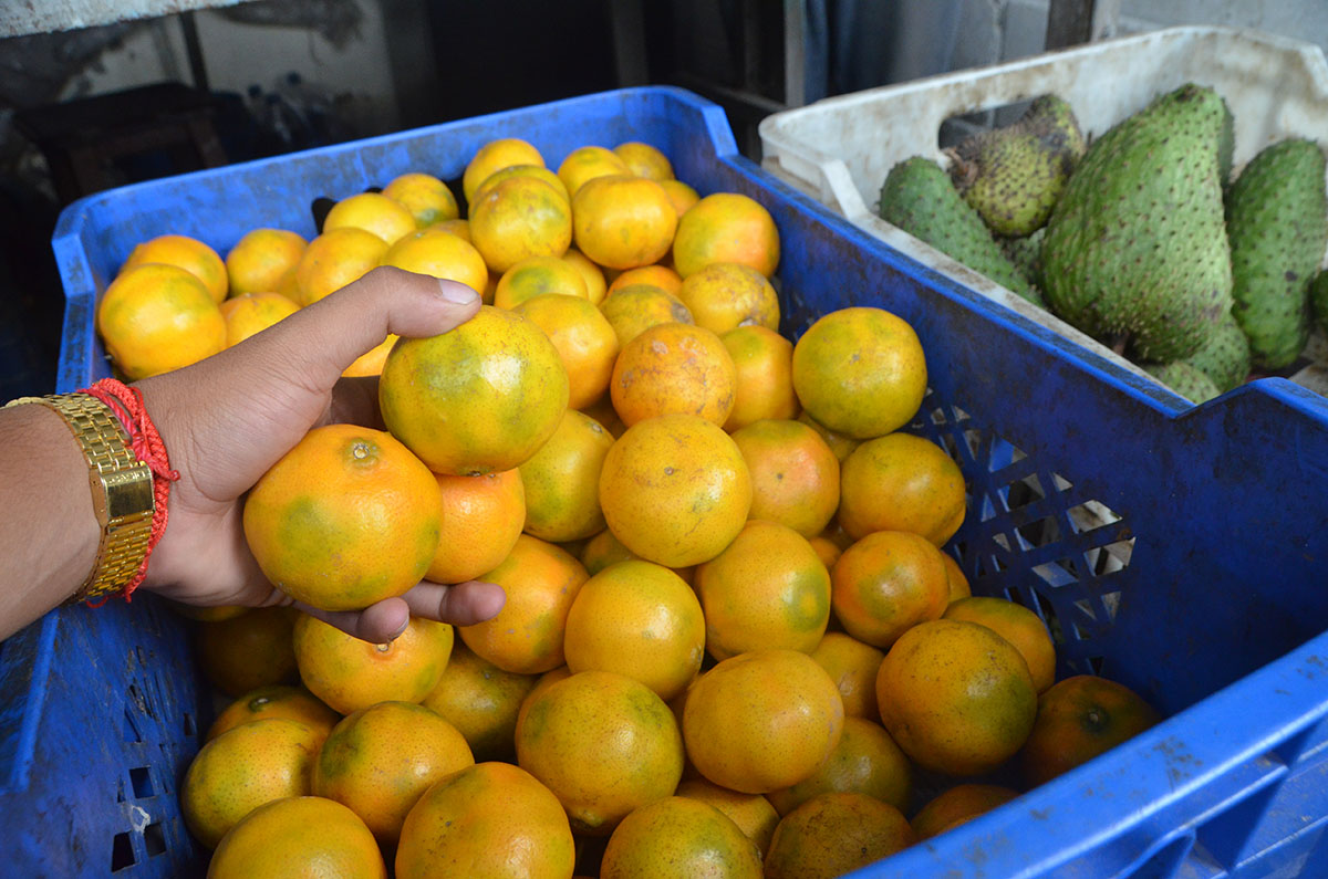 A Bs. 250 se consigue el kilo de mandarina