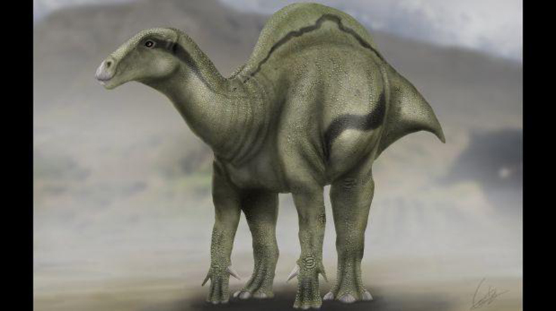 Fósiles hallados en España revelan nueva especie de dinosaurio