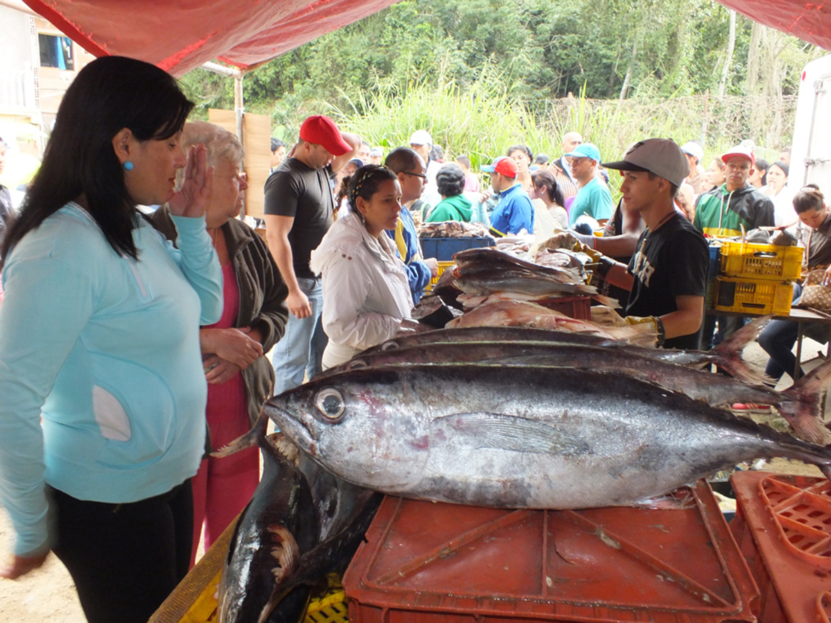 Distribuyeron 2 mil 15 toneladas de alimentos este año en Guaicaipuro