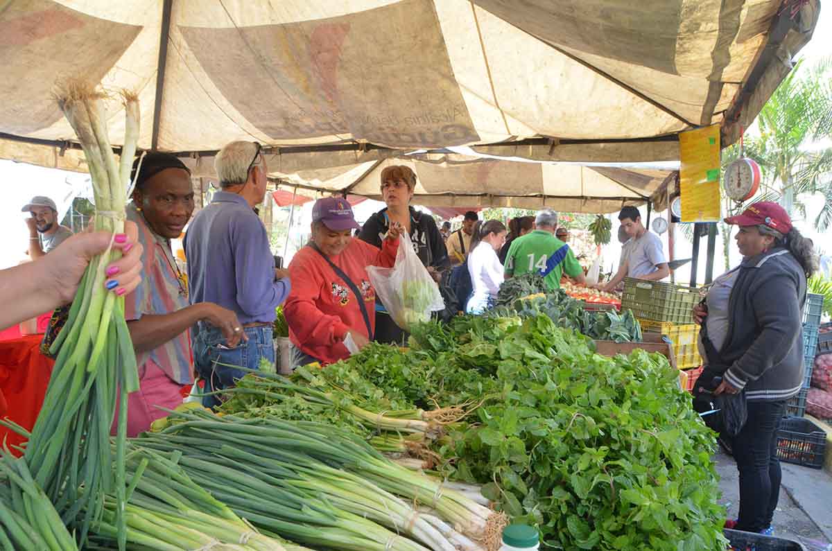 Recurren a expendios populares  para cubrir gastos de mercado