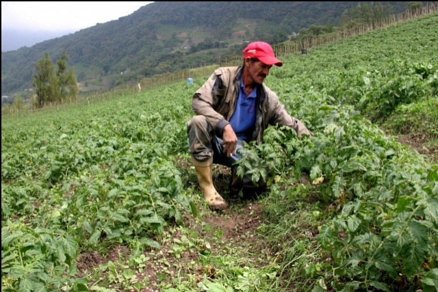 Maduro recibe mañana a primer lote de empresarios