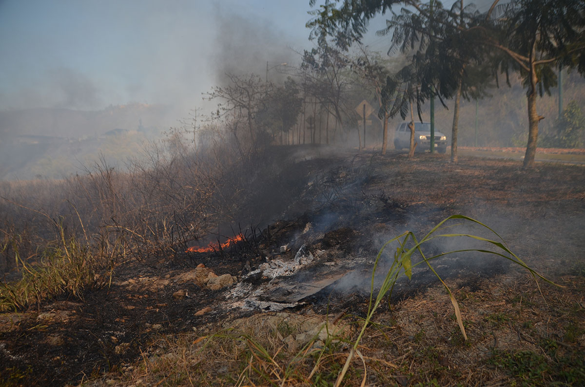 Incendio cerca de El Limoncito activa alarmas
