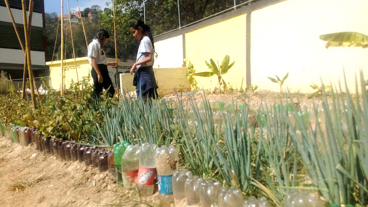 Más planteles se unen a Manos a la Siembra