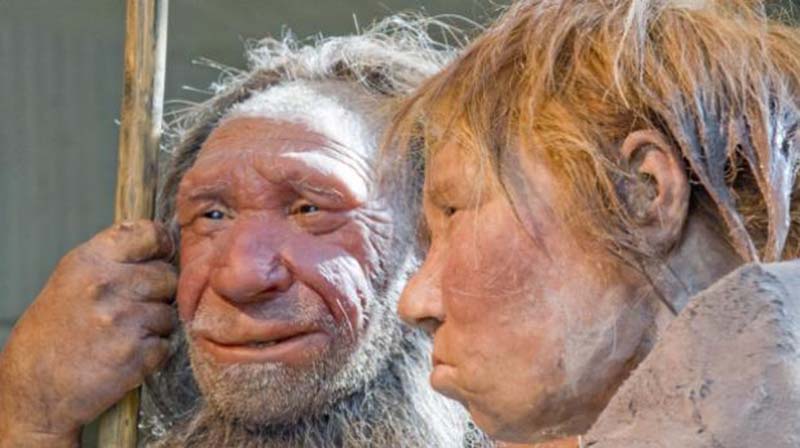 Neandertales y Homo sapiens tuvieron hijos antes de lo pensado